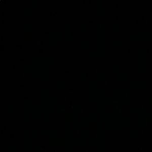 Meet your Posher, Jocelyn